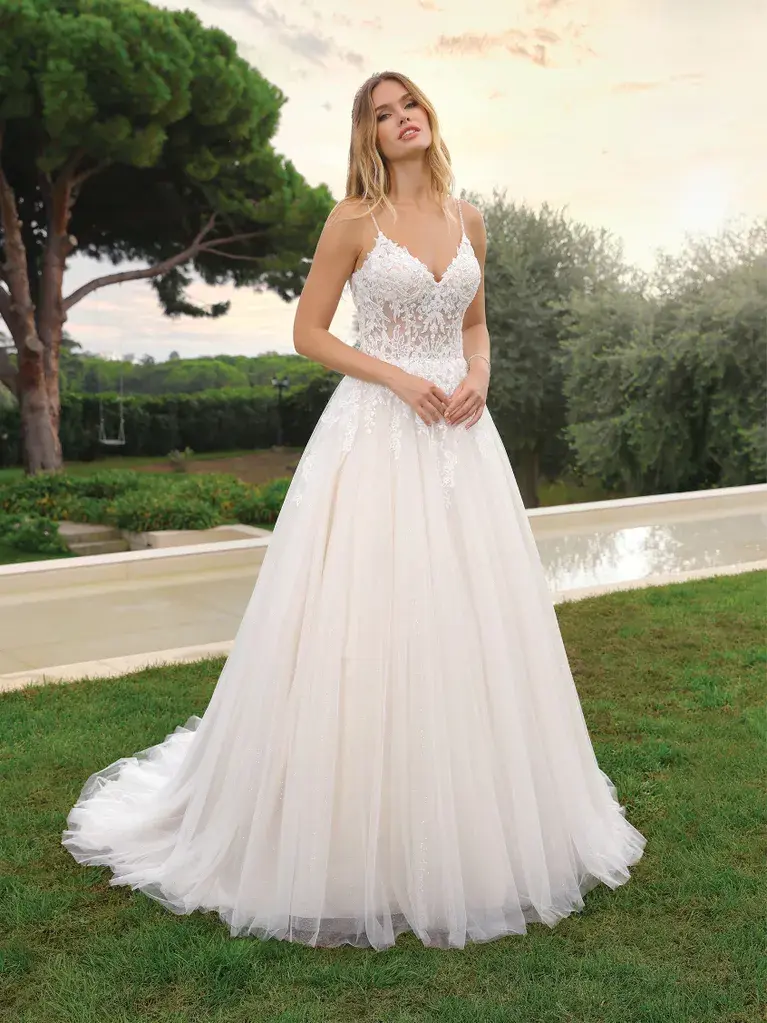 Vue arrière de la robe avec décolleté et traîne en tulle